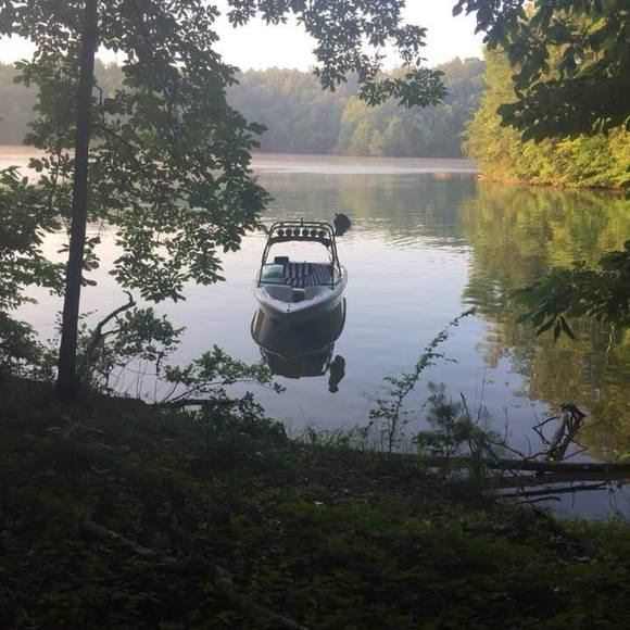 Meet your Posher, Ginger - Picture 1 of 1